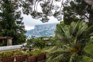 villacore_pic_80